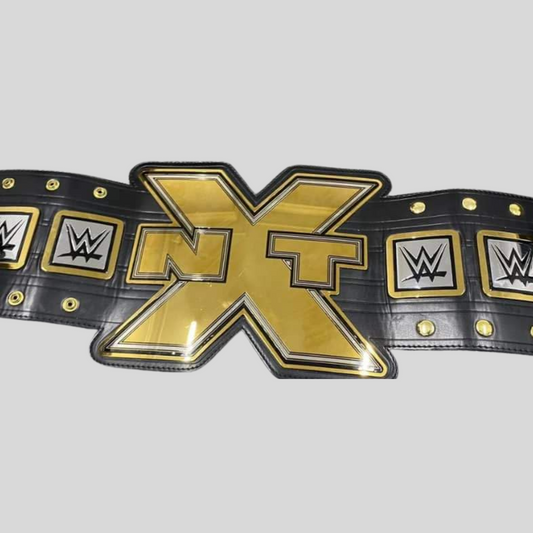 2012 NXT Championship Replica Title Belt