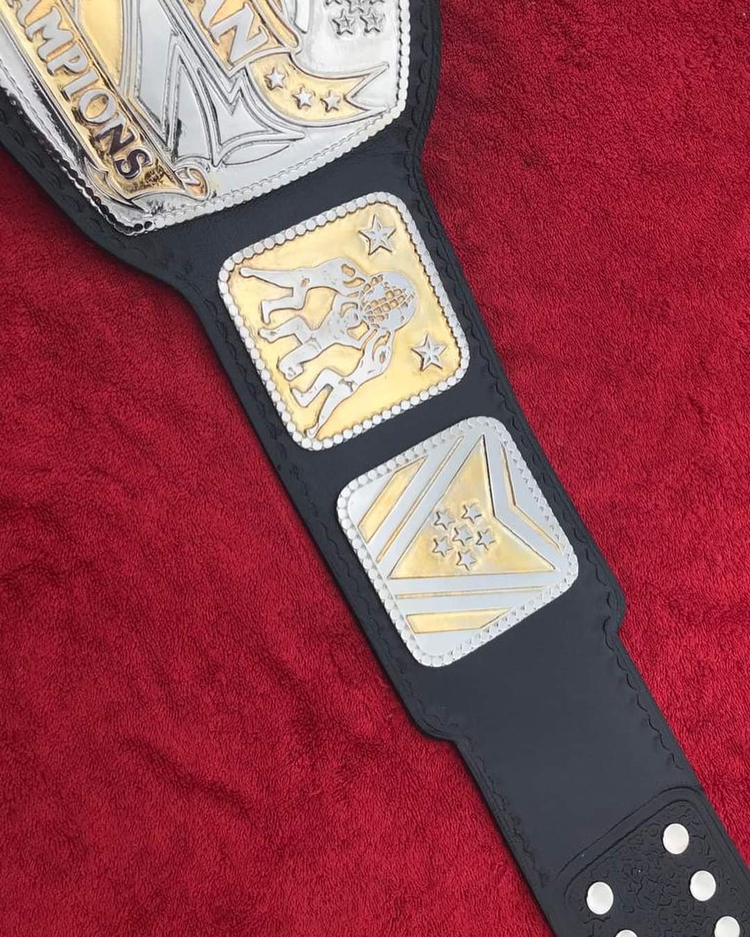 NWA Six man Tag Team Championship Belt
