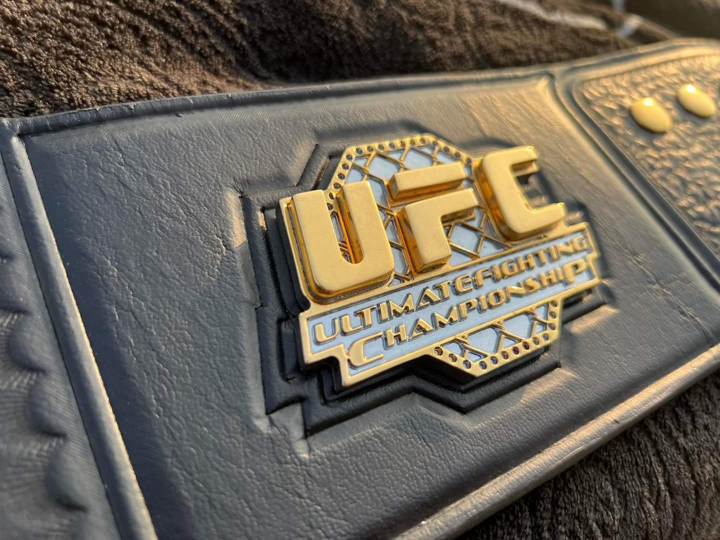 UFC Replica Championship Belt