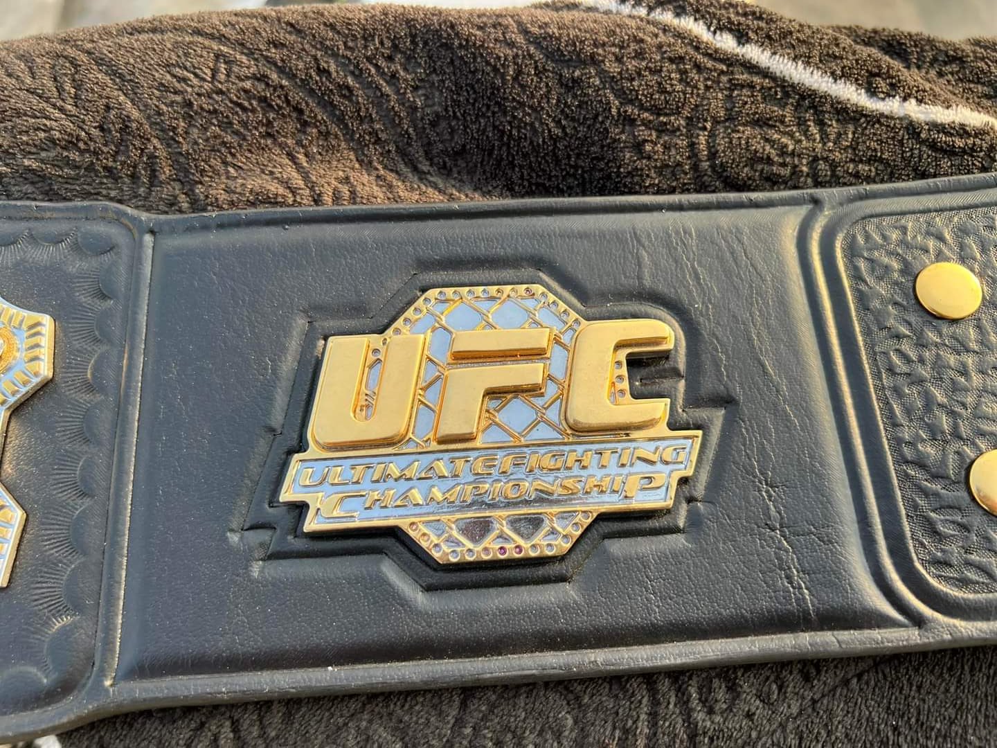 UFC Replica Championship Belt