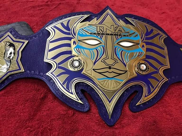 Jeff Hardy TNA World Heavyweight Championship Title Belt Replica